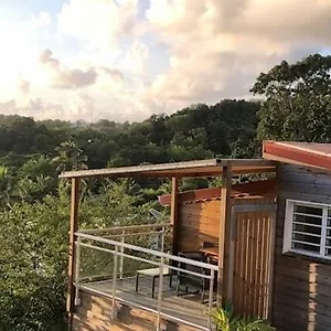 ti-citron.comcaribbean.com/
